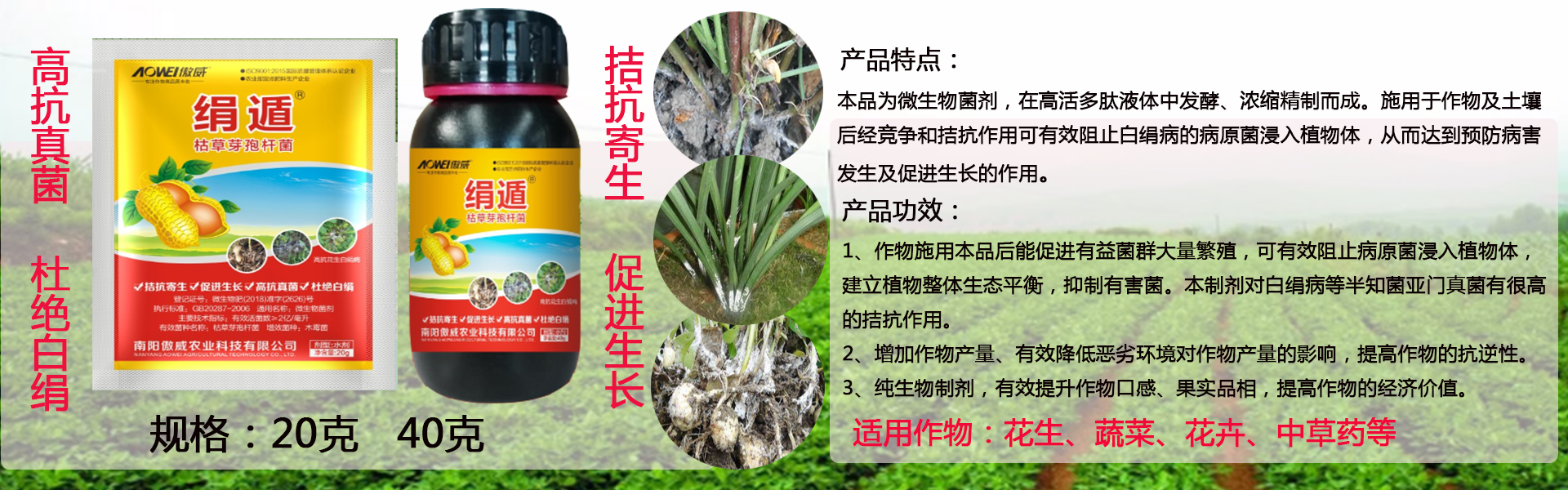 德州扑克网页版